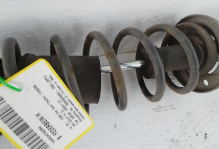 VW Golf III BJ: 1995 Federbein H